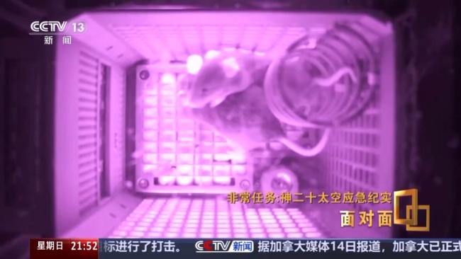 “鼠鼠乘组”在空间站加班餐食是豆浆 太空意外延长旅程