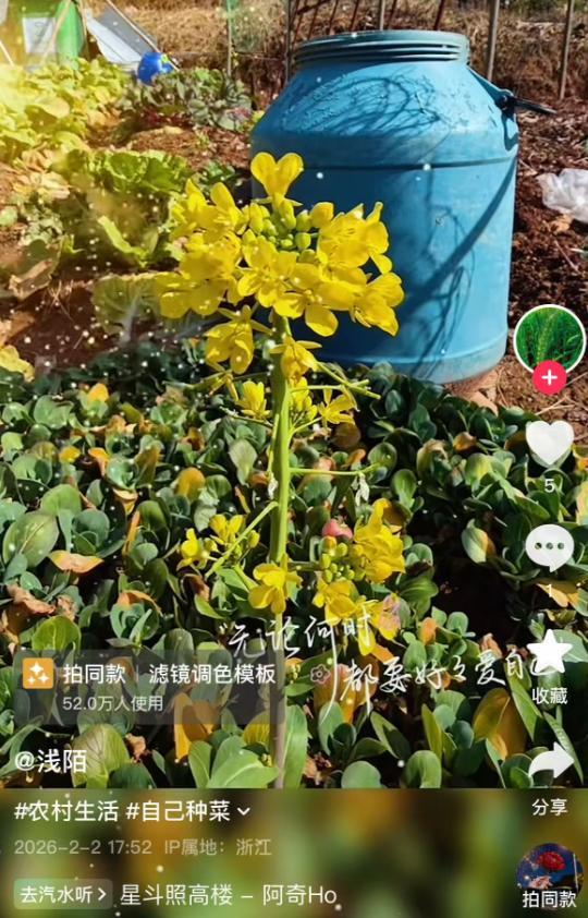 一篮青菜换来满满一大箱舟山海鲜