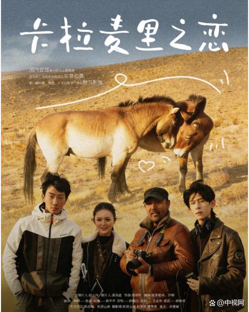 以梦为马 不亏心中醉心 野马看护者的初心与宝石