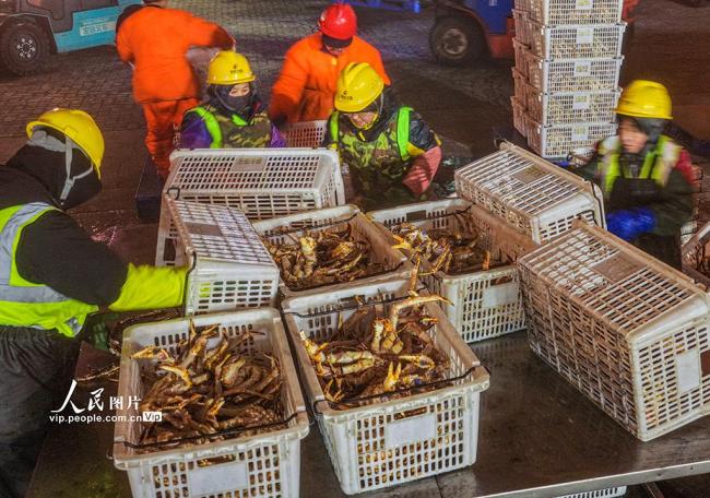 山东荣成：帝王蟹抢“鲜”通关 供应春节市场