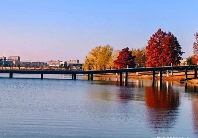 你体验过一个东说念主过除夜吗 守岁守的是颓靡