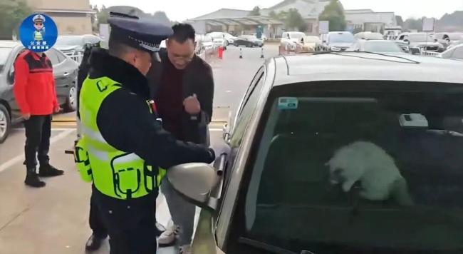 驾车返乡途中被猫锁在车外