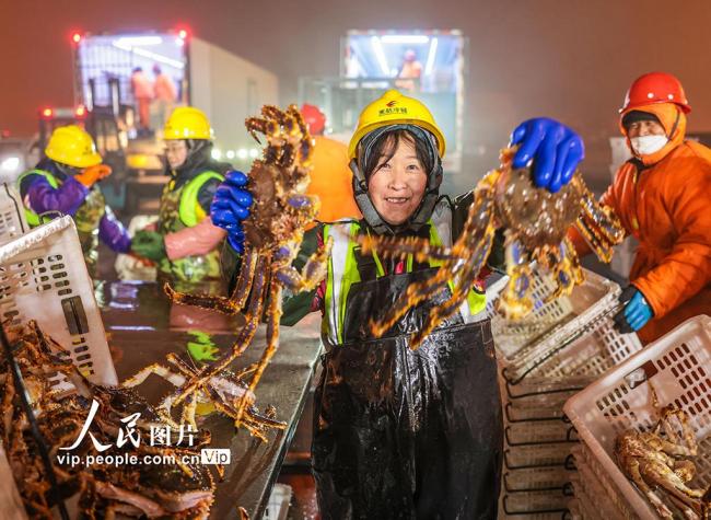 山东荣成：帝王蟹抢“鲜”通关 供应春节市场