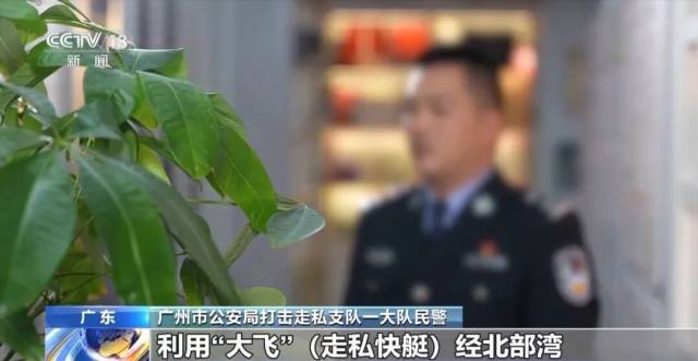 广东警方侦破系列特大假烟案 跨境全链条精准打击