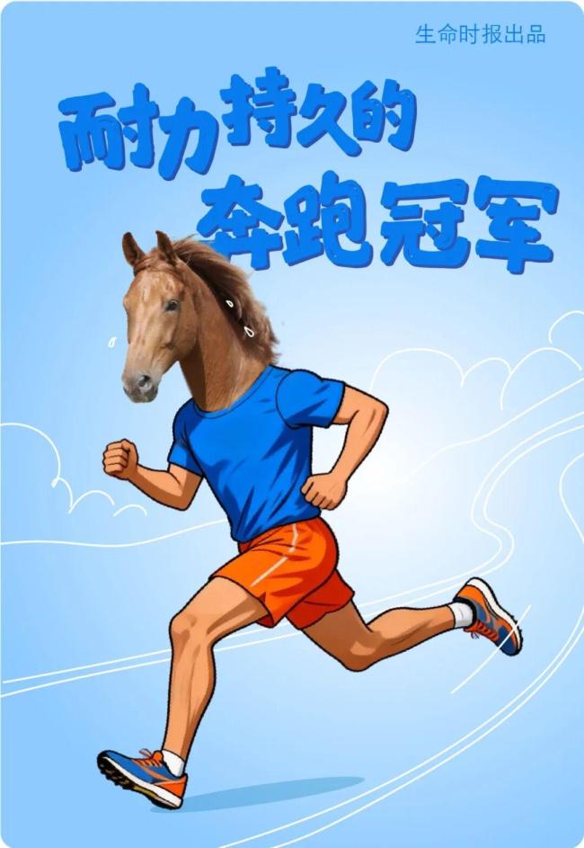 马年第一件正经事:跟“马”学养生 作念我方的健康骑士