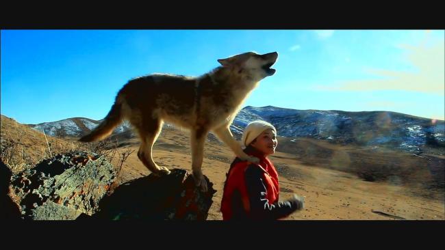 《重返狼群》的伦理争议与共生理想 干预边界的探讨