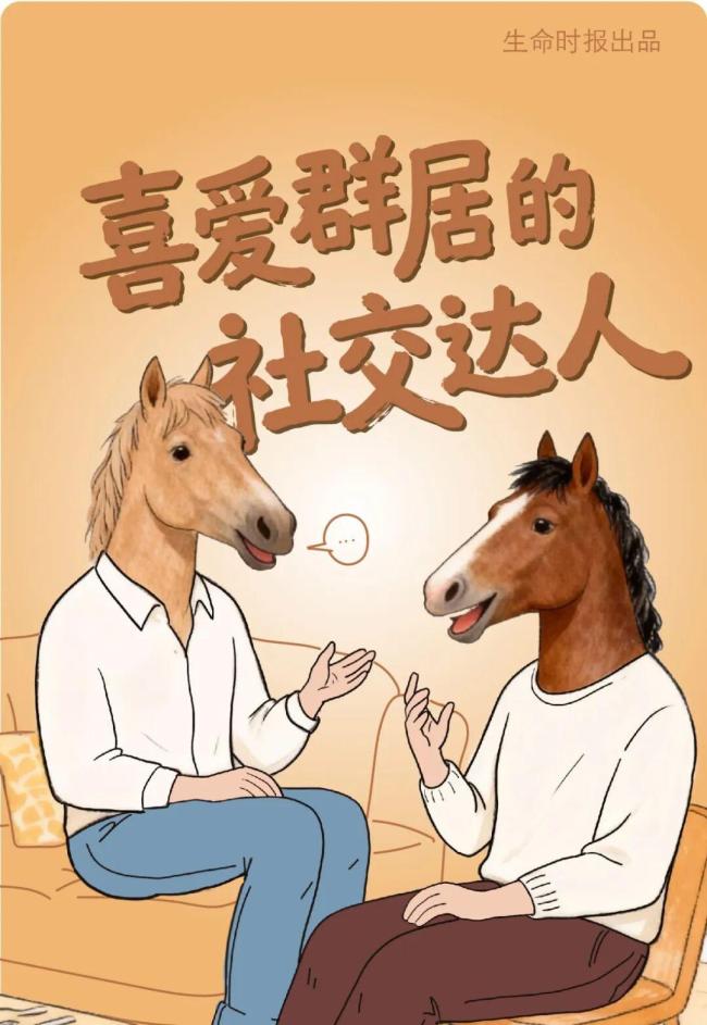 马年第一件正经事:跟“马”学养生 作念我方的健康骑士