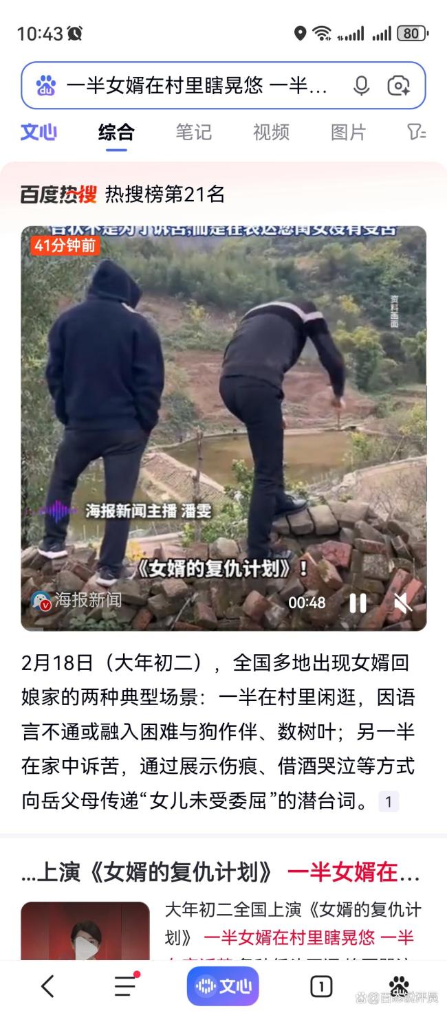 一半女婿在村里瞎晃悠一半在家诉苦