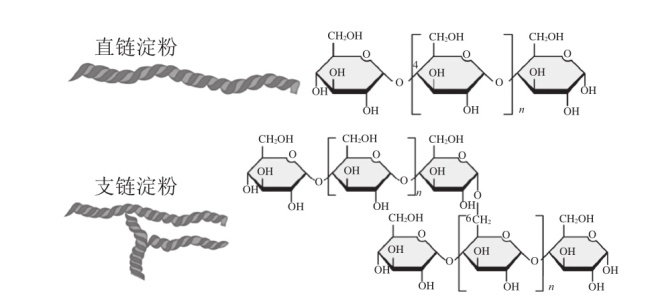 春节这种美食藏隐患 老人孩子要注意