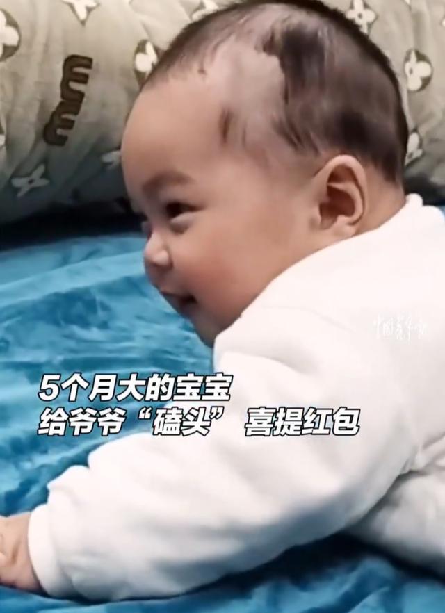 5个月宝宝抬头巧变磕头喜提红包