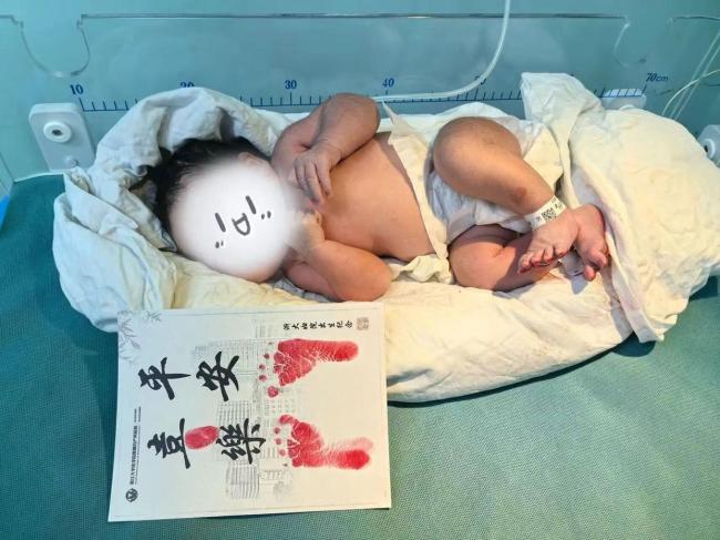 浙大妇院首批“小马驹”来了 除夜夜的更生喜气