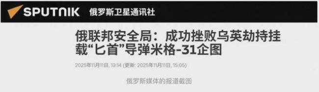 外媒称西方飞行员参与俄乌冲突 揭秘间谍大案