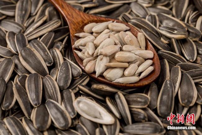 为什么中国人过年总爱“嗑”瓜子 年味里的慢艺术