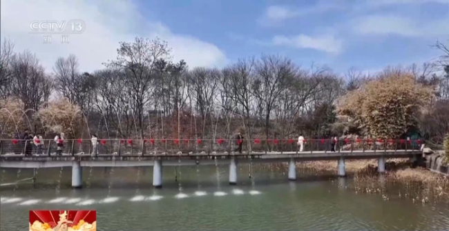 “年俗文化+科技”各地舉辦特色活動(dòng)感受別樣年味