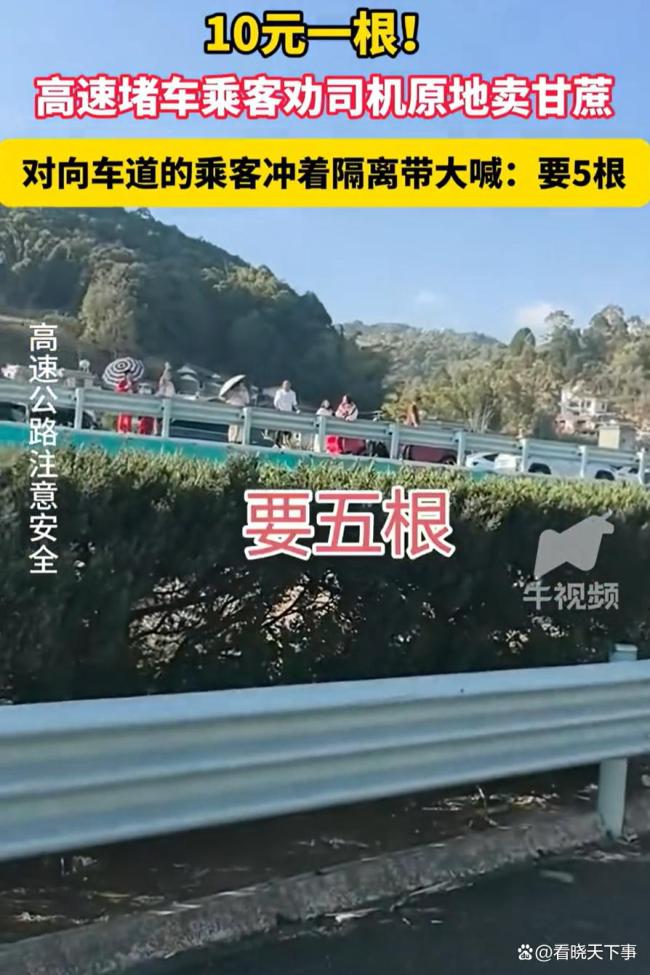 高速堵车 乘客劝司机就地卖甘蔗 偶遇经济成亮点