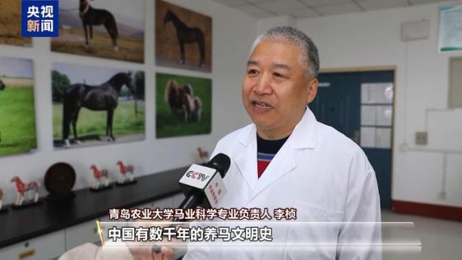 “騎馬養(yǎng)馬”成大學(xué)課程 全鏈條培養(yǎng)填補(bǔ)人才空白