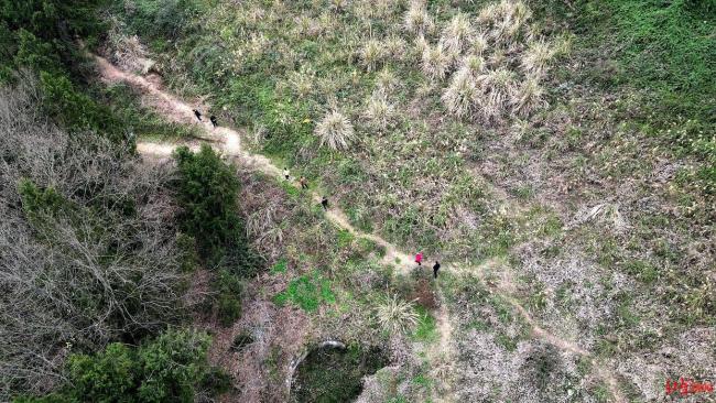 68岁老人离家走失8天吃树叶生还