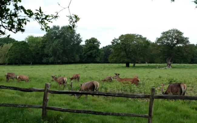 外媒曝美国正进行“幕后外交”