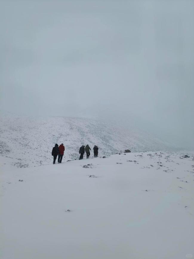 库拉岗日暴雪失联者获救：真正救命的不是牛粪，而是“阻断空气流动” 冷静自救创造奇迹