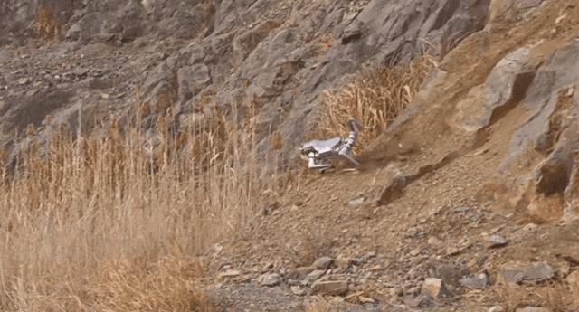 UnitreeAs2机器人发布 动力性能翻倍