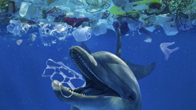 研究:微塑料加紧“入侵”大脑 动物行为受扰引担忧