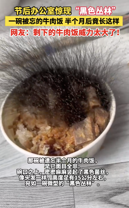 男子牛肉饭节前遗忘办公室长出黑菌丝!