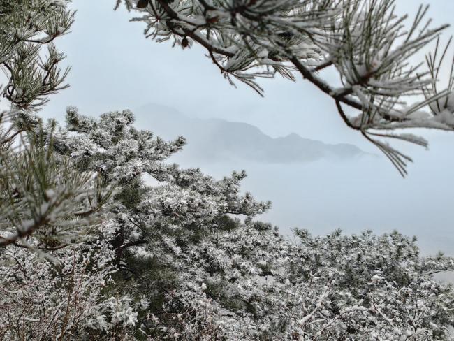 马年初雪喜降京城 网友纷纷晒出雪景照