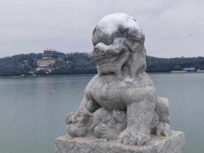 马年初雪喜降京城 网友纷纷晒出雪景照