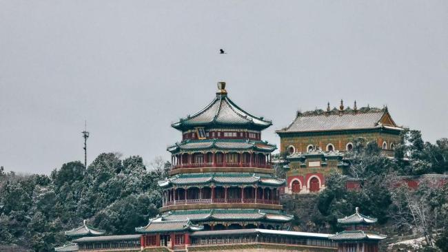 马年初雪喜降京城 网友纷纷晒出雪景照