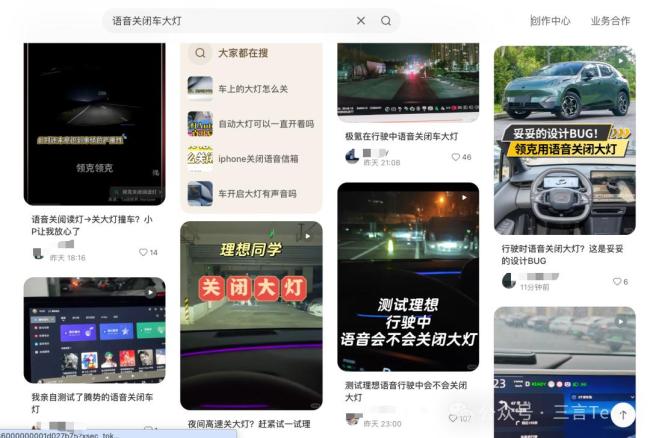 网友测评极氪007夜间行驶语音关大灯 车机误操作引担忧