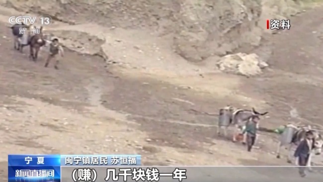 山海协作30年!闽宁镇的年味里,藏着幸福密码