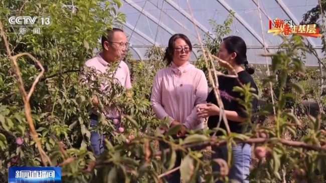 山海协作30年!闽宁镇的年味里,藏着幸福密码