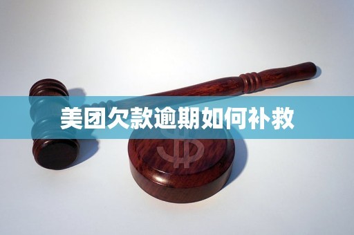 美团如何补齐过去落下的“责任课” 逾期补救指南