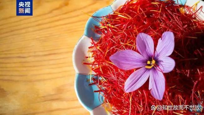 超市回应标价7万多元“天价”沙拉 乌龙事件引发热议