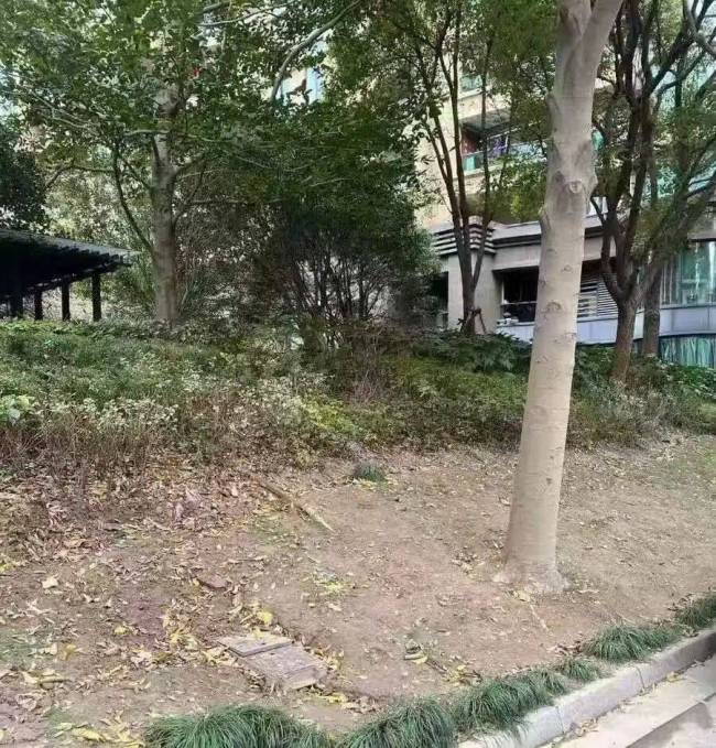 上海一小区管理失序乱成一锅粥 业委会选举停摆引发乱象