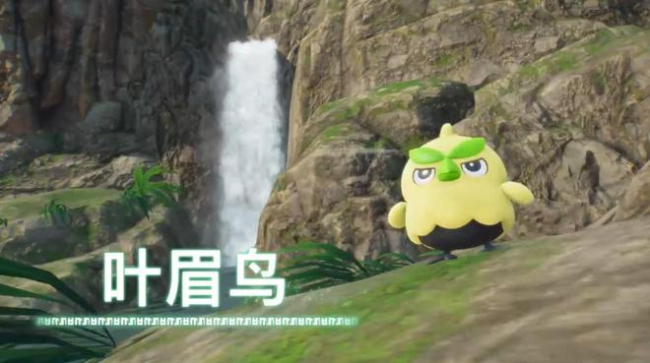 宝可梦风与波