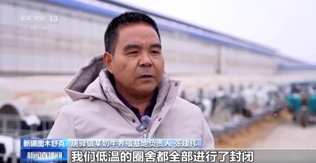 母牛产犊高峰期 科技“护航”接犊育幼