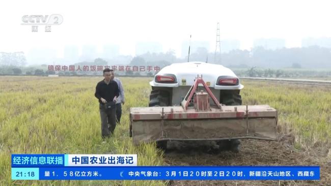 稻田变身“无人农场” 看AI“最强大脑”如何种地