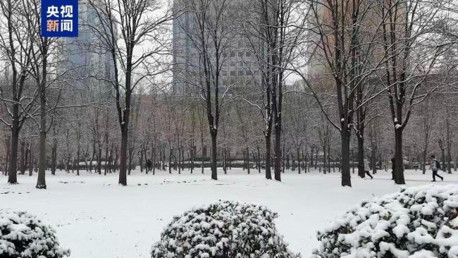 多预警连发 天津迎来降雪天气 出行需谨慎防滑