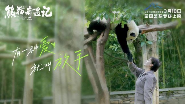 电影《熊猫奇遇记》定档3月10日 全生命周期的熊猫故事