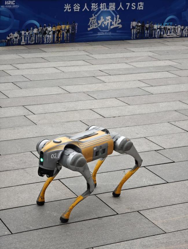 机器人手机趋势到来了吗 酷炫玩具还是生产力工具？