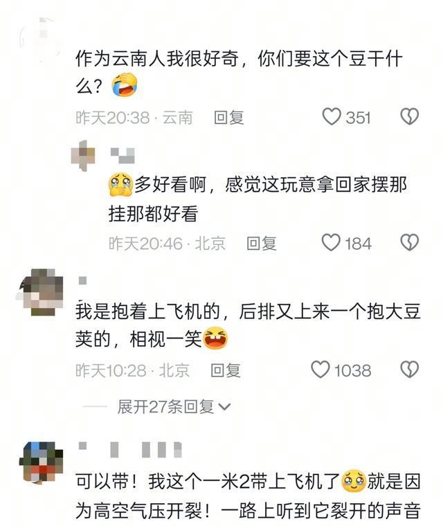 女子带1米长巨大豆英坐飞机引围观 梦中情豆走红网络