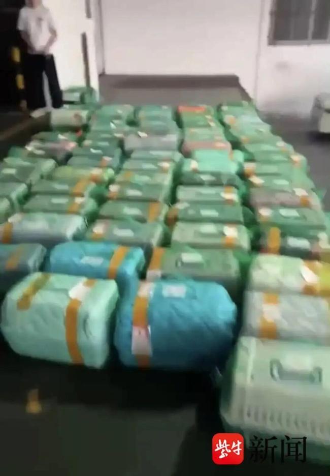 女子托运柴犬商家不喂水喂食