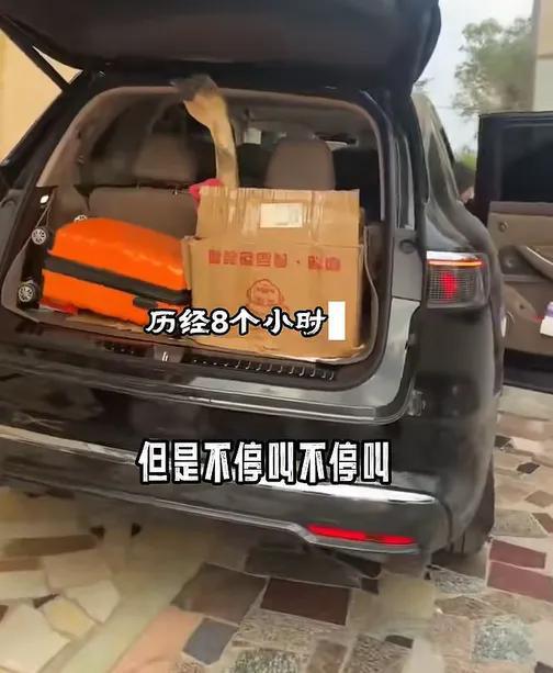 女子回家同行“乘客”叫8小时