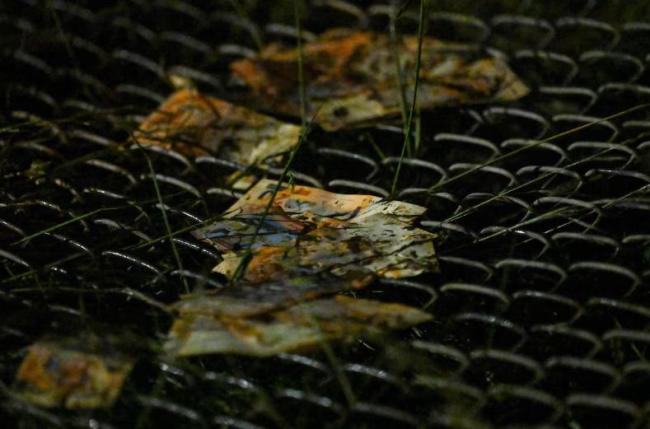 运钞飞机坠毁后遭哄抢 数百人捡拾钞票引发混乱