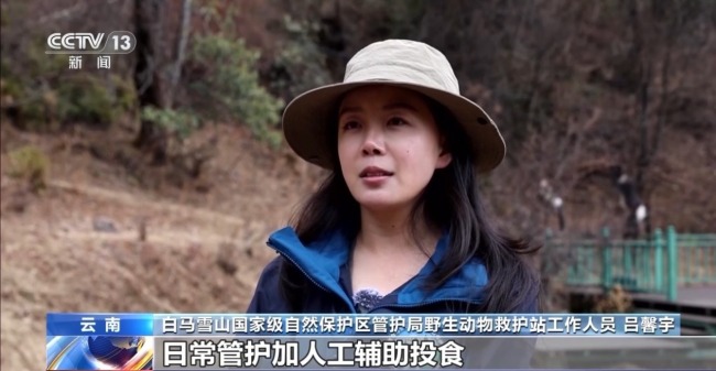 我国野生动植物保护交出亮眼答卷