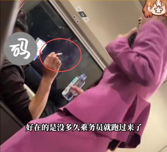 媒体评男子在高铁车厢内抽烟 规则面前无特权