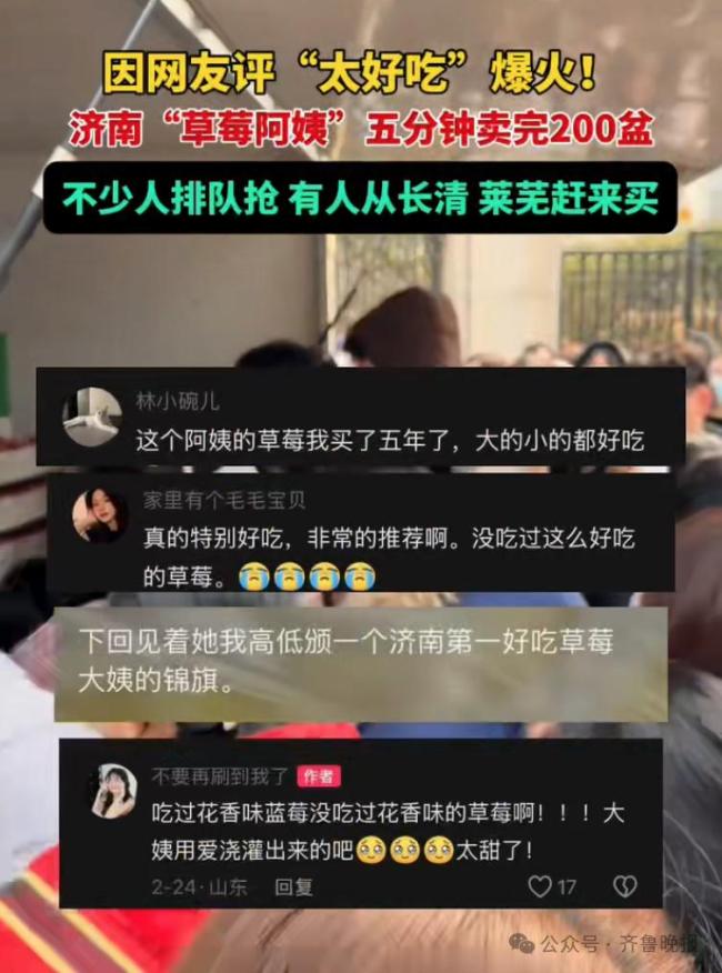 济南“草莓阿姨”爆火 200盆草莓5分钟售罄