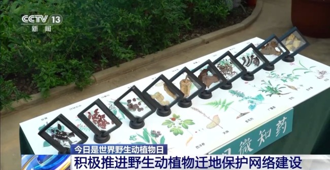 我国野生动植物保护交出亮眼答卷