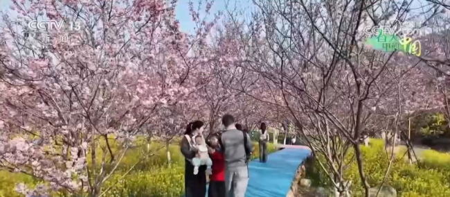 去踏青，春意正浓！“春日经济”蓬勃绽放